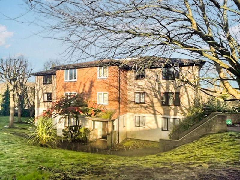 Main Image